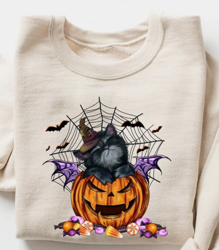 Halloween Sweatshirt, Halloween Sweater, Cat on Pumpkin Sweatshirt, Black Cat Sweatshirt, Halloween Crewneck, Black Cat Shirt, Spooky Season