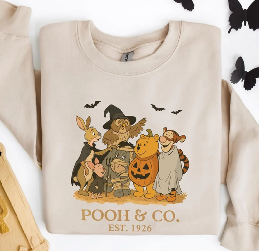Halloween Bear Sweatshirt, Woman Pirate Halloween Sweatshirt,Pooh Disney Halloween Hoodie, Halloween Spooky Season Crewneck