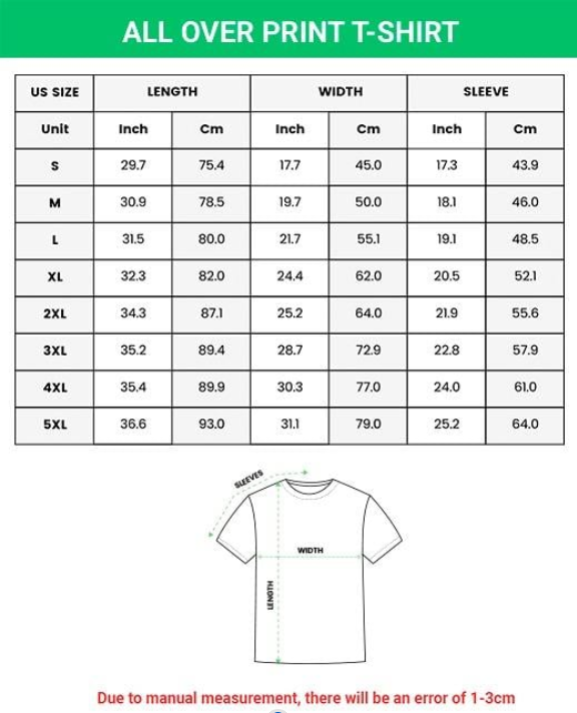 Detroit Football Helmet T-Shirt, Detroit Lions Tee, Sports Fan Apparel, Game Day Outfit, Football Season
