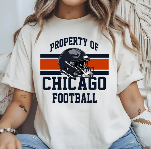 Vintage Chicago Football T-Shirt, Team Spirit Apparel, Game Day Outfit, Football Fan Gift, Chicago Bears Tee