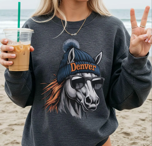 Vintage 90s Denver Football Vintage Mascot Sweatshirt Tee Retro Denver Football Crewneck Shirt, Broncos Football Fans Gift, Sunday Football