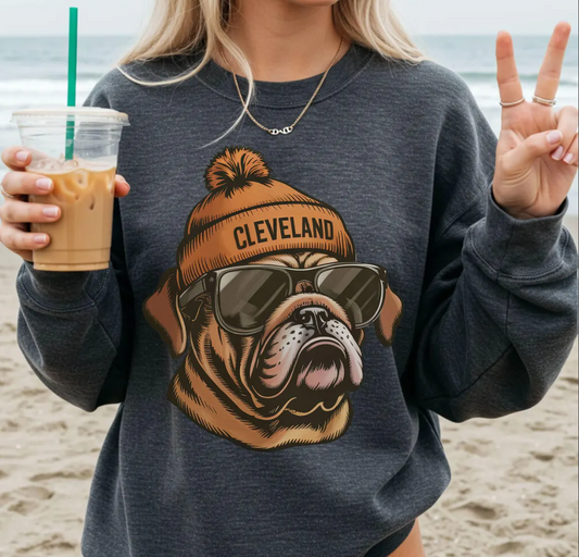 Vintage 90s Cleveland Football Mascot Style Comfort Colors T-Shirt Retro Cleveland Football Shirt Cleveland Fan Gift Browns Football Apparel