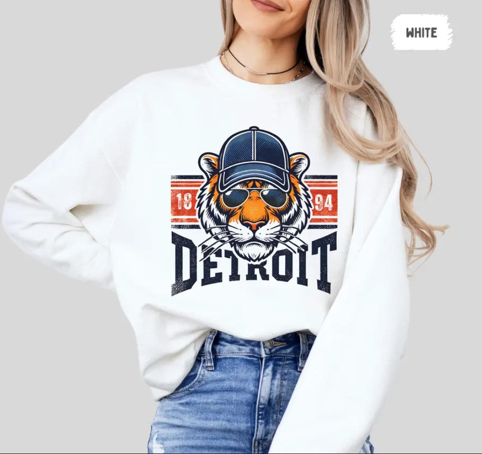 Detroit Baseball Sweatshirt - Unisex Crewneck Pullover, Sports Team Fan Apparel, Gift for Baseball Fans, Detroit Souvenir, Detroit Sweater