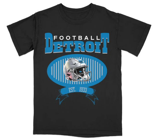 Detroit Football T-shirt, Detroit Lions T-Shirt, Lions Team Apparel , Fan Apparel, Team Pride, Sports Gift, City Pride, Game Day Gear