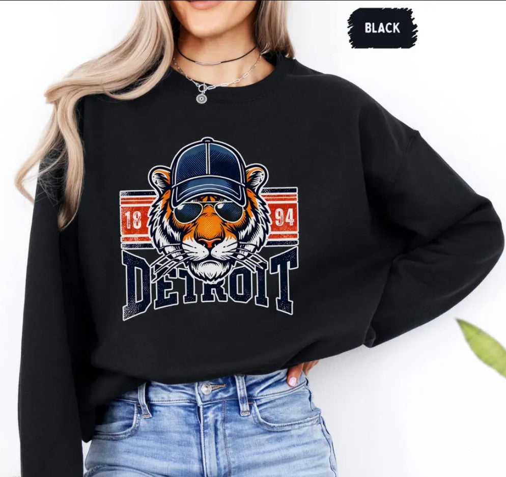 Detroit Baseball Sweatshirt - Unisex Crewneck Pullover, Sports Team Fan Apparel, Gift for Baseball Fans, Detroit Souvenir, Detroit Sweater